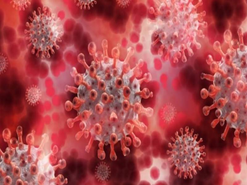 La nueva variante del coronavirus, ómicron, se expande por el mundo